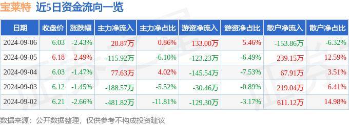 股票行情快报：宝莱特（300246）9月6日主力资金净买入20.87万元