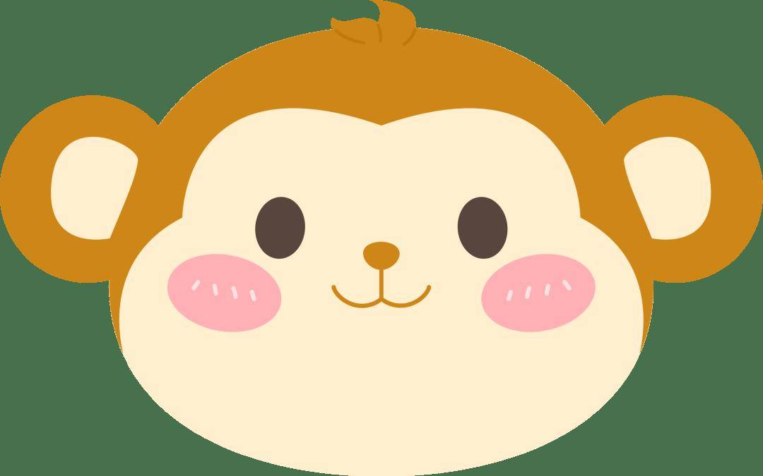 热带雨林币，今起开始兑换！