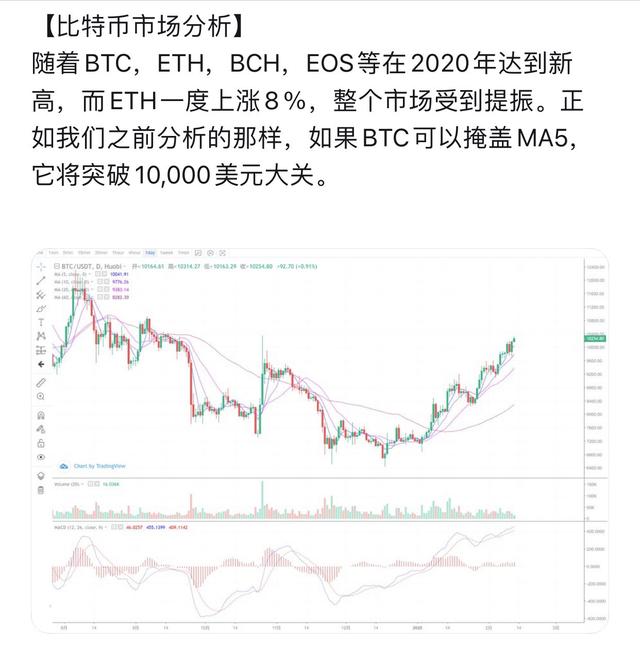 虚拟币对冲(虚拟币对冲教程)
