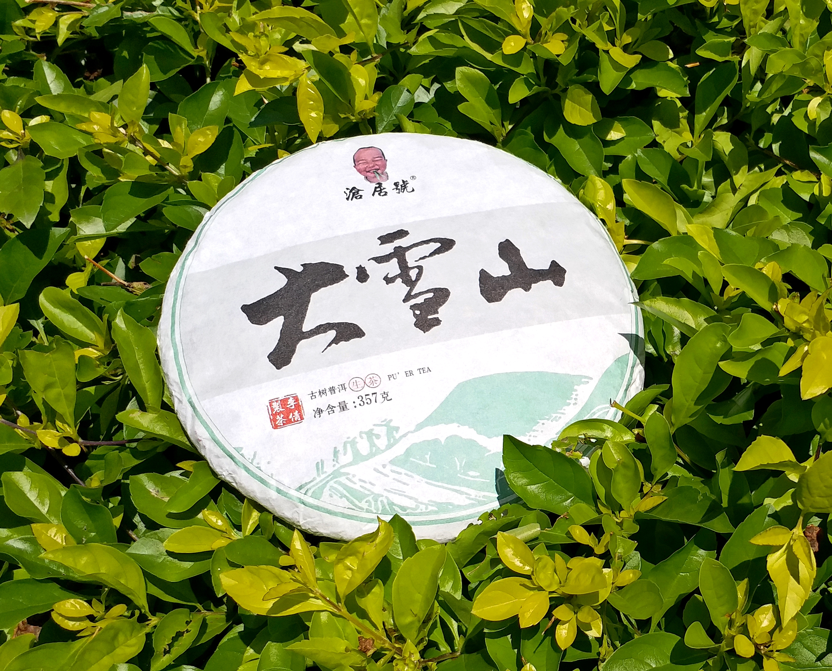 雪山古树虚拟币(雪山古树币价格最新)