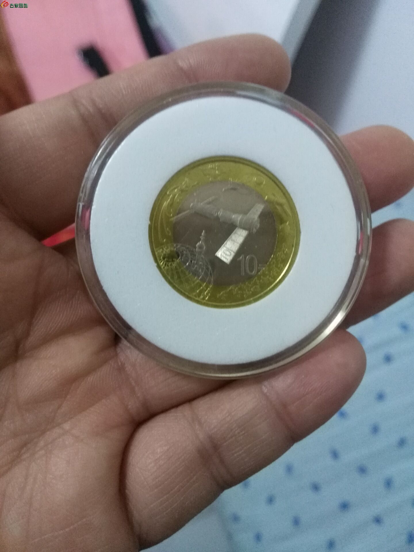 猴币虚拟币(炒币交易平台)
