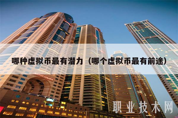有潜力虚拟币(2020最有潜力的虚拟币)