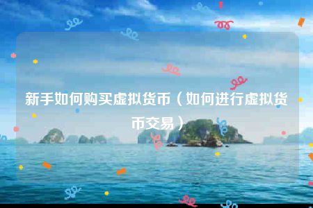 虚拟币购买(虚拟币购买人的免责声明是什么)