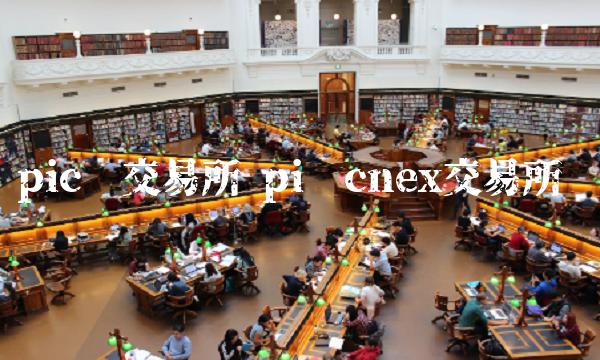 币安币交易所(币安binance电脑版)